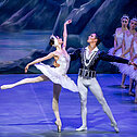 Schwanensee präsentiert vom  Royal Classical Ballet
