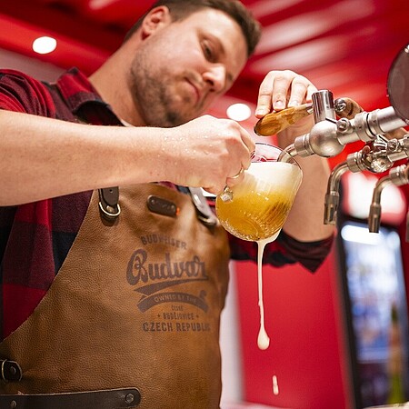 Eine Person in kariertem Hemd und Leder-Schürze zapft Bier an einem Tresen und füllt ein Glas, während Schaum über den Rand läuft. Mehrere Zapfhähne sind im Hintergrund zu sehen.