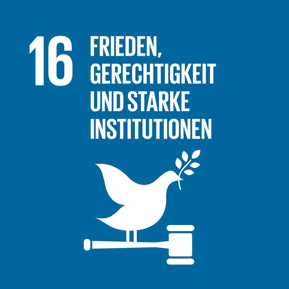 16 FRIEDEN, GERECHTIGKEIT UND STARKE INSTITUTIONEN 16 FRIEDEN, GERECHTIGKEIT UND STARKE INSTITUTIONEN