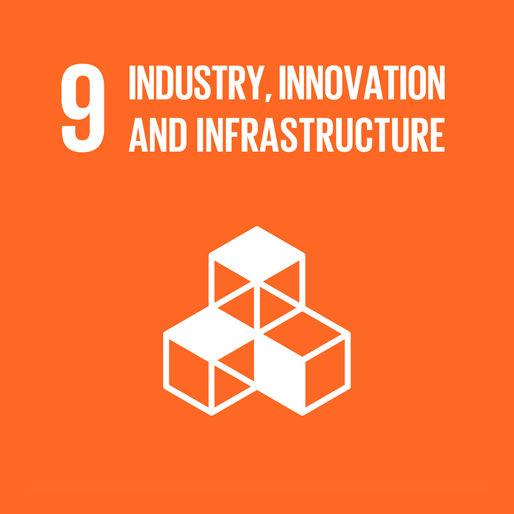 9 INDUSTRY, INNOVATION AND INFRASTRUCTURE
