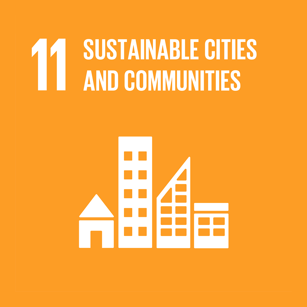 11 SUSTAINABLE CITIES AND CUMMUNITIES