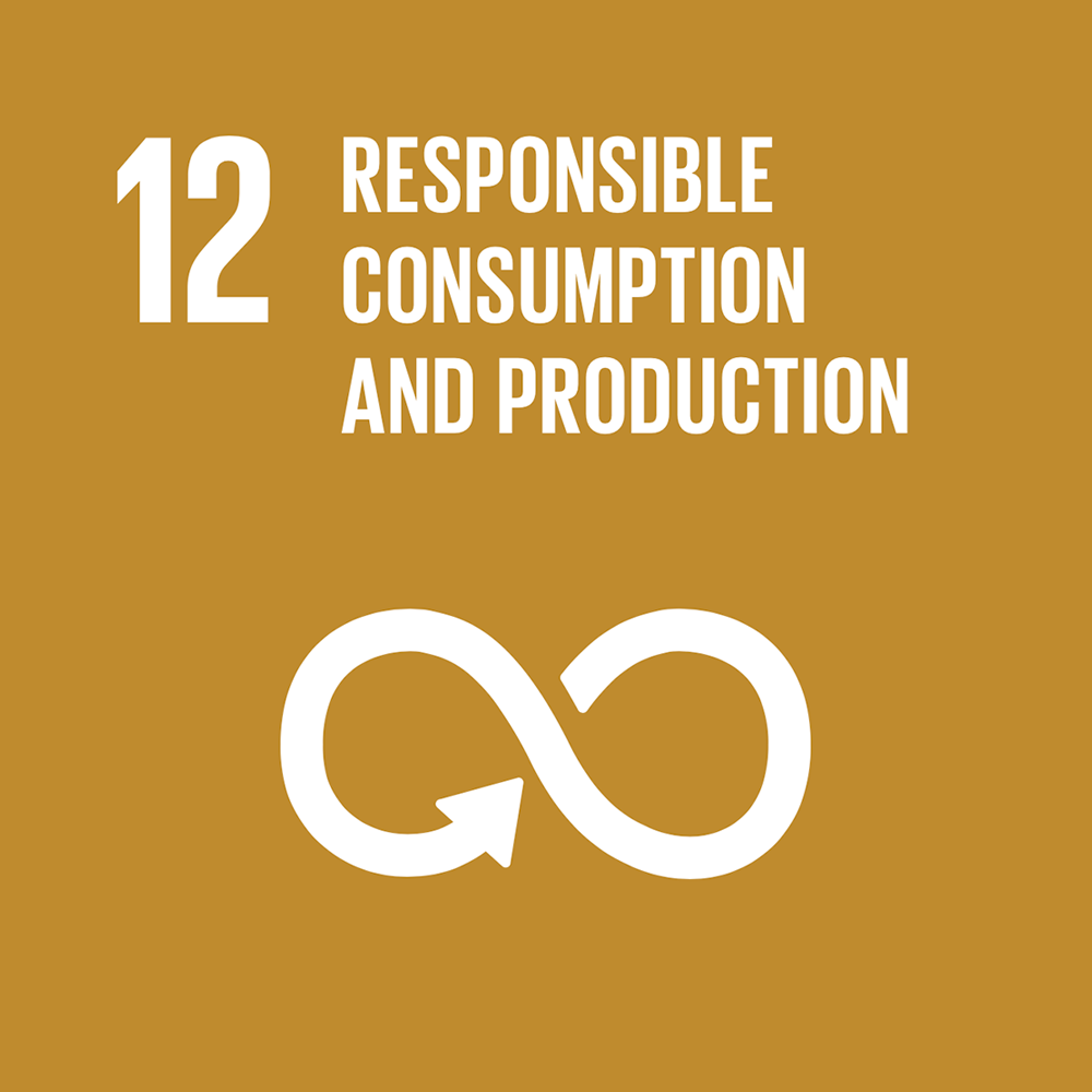 12 RESPONSIBLE CONSUMTION AND PRODUCTION