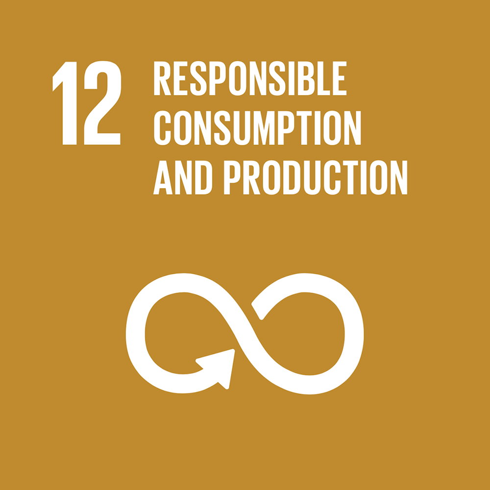 12 RESPONSIBLE CONSUMPTION AND PRODUCTION