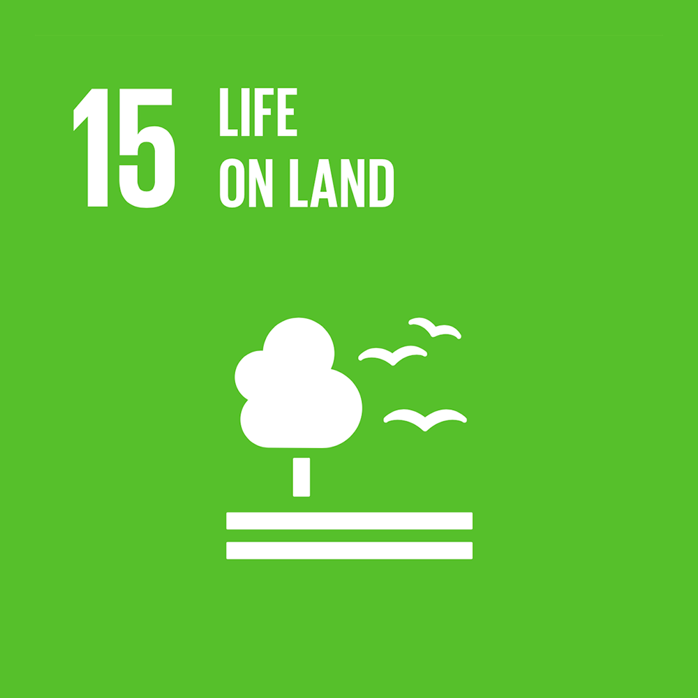 15 LIFE ON LAND 15 LIFE ON LAND